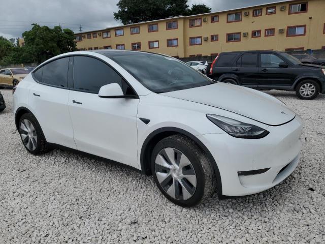 2022 TESLA MODEL Y #3302798938