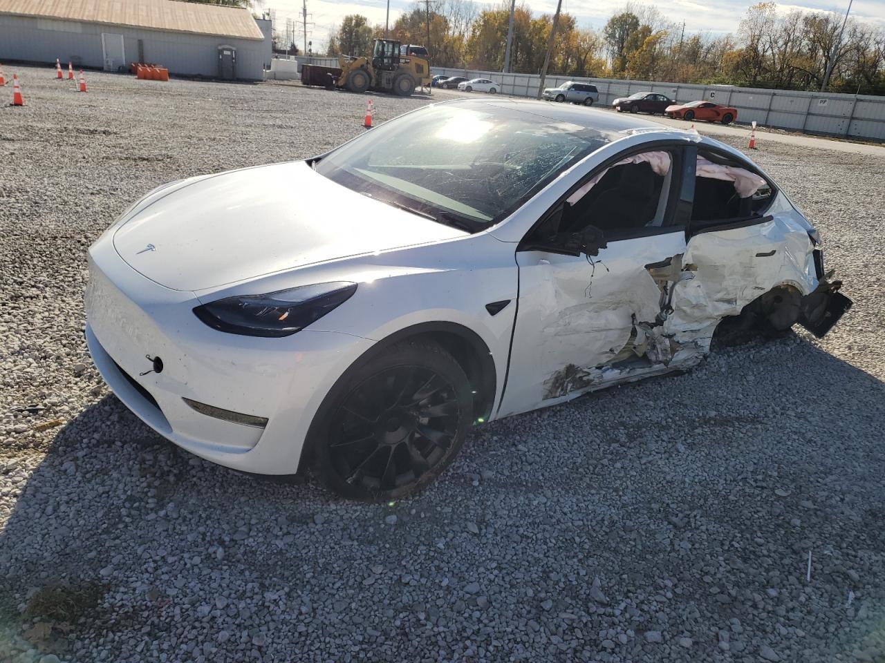 Lot #3316718424 2024 TESLA MODEL Y