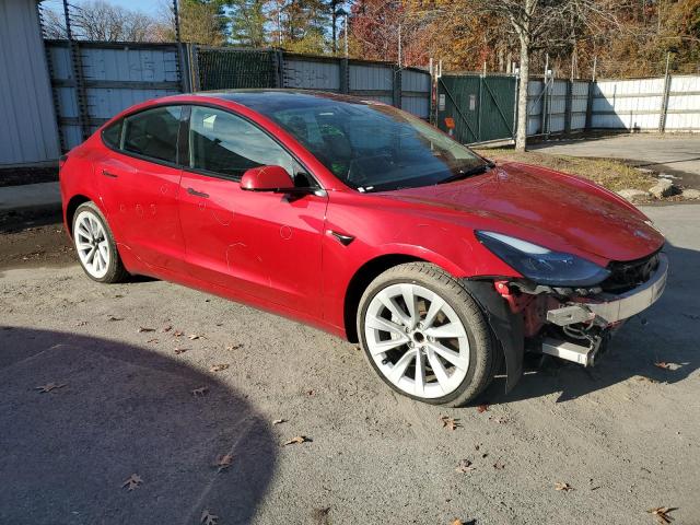 2023 TESLA MODEL 3 #3304631942