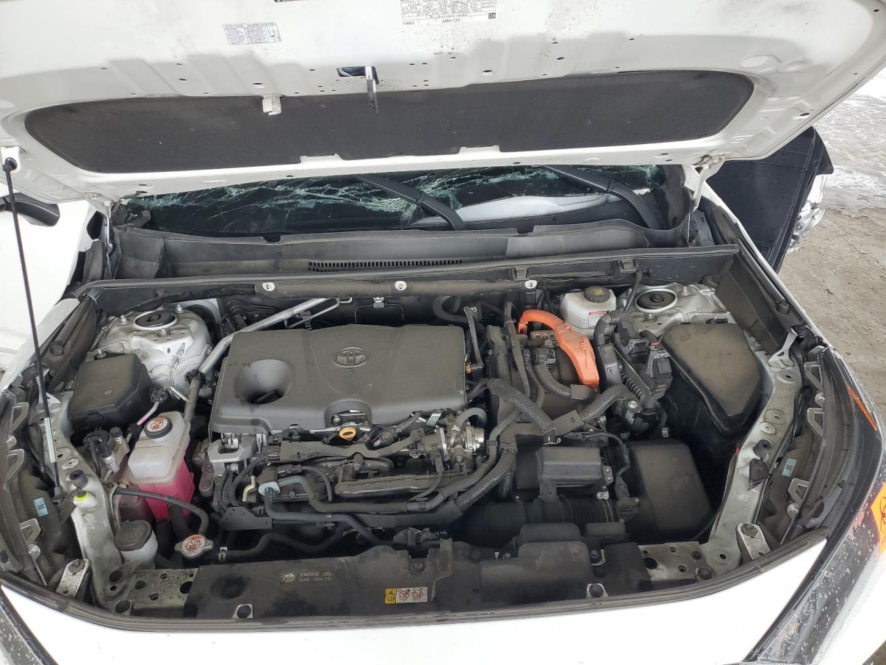 Lot #3308521615 2022 TOYOTA RAV4 LE