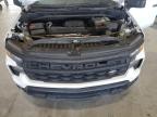 Lot #3305557087 2023 CHEVROLET SILVERADO