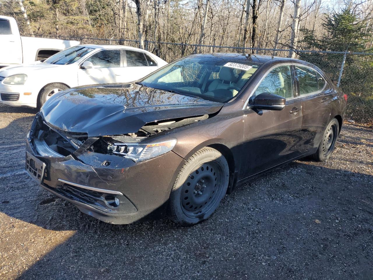 ACURA TLX ADVANCE