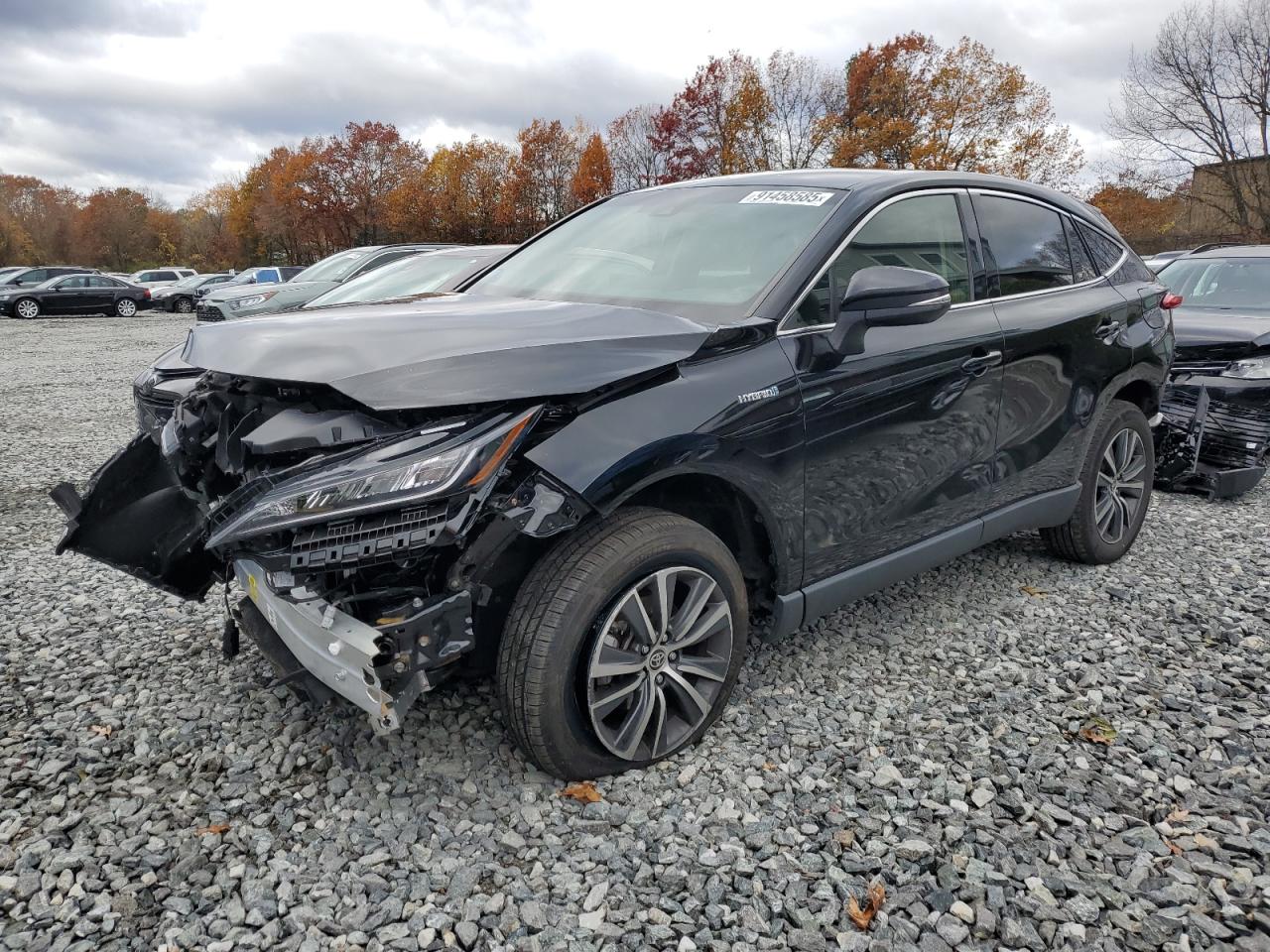 Lot #3297071494 2021 TOYOTA VENZA LE
