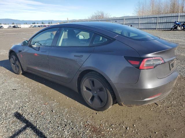 2023 TESLA MODEL 3 #3304059525