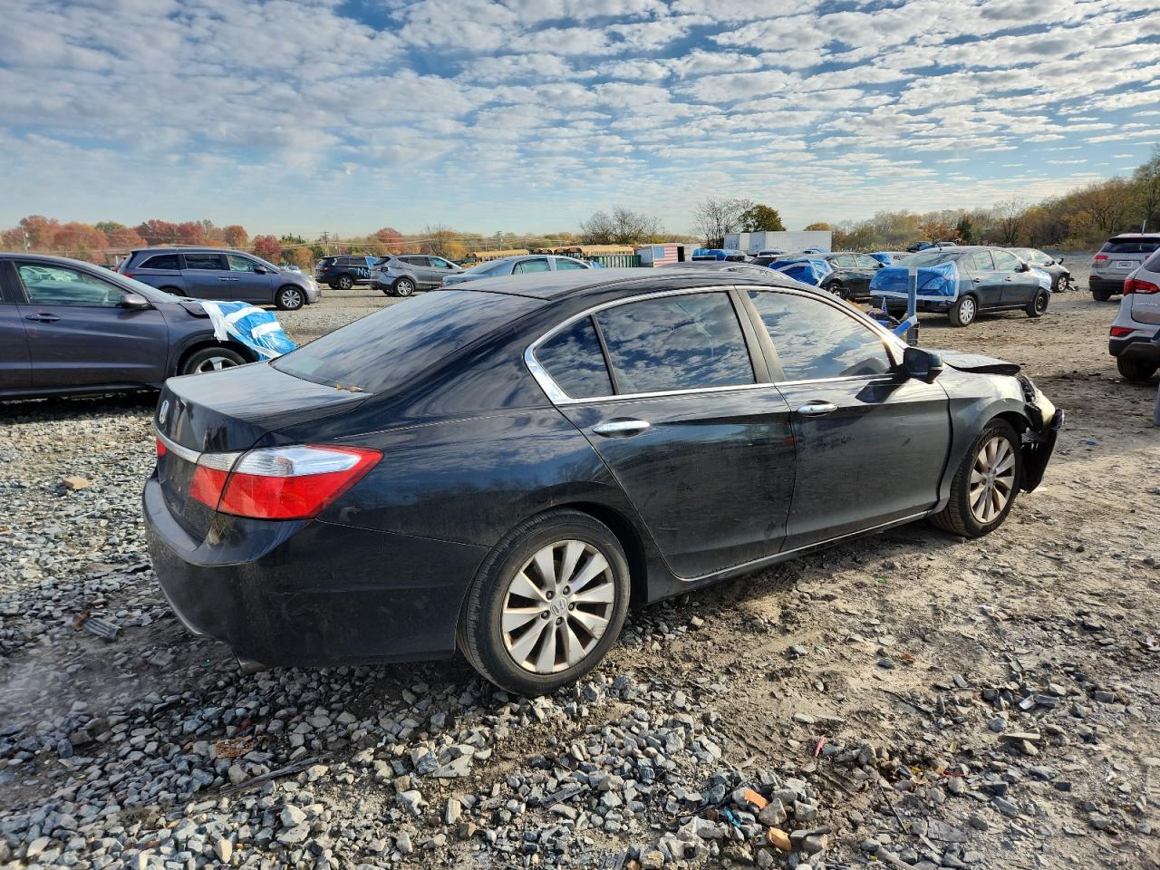 Lot #3291451497 2014 HONDA ACCORD EX