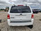 Lot #3302003104 2010 FORD ESCAPE XLS