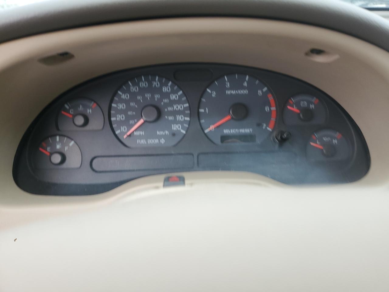 Lot #3282722293 2004 FORD MUSTANG