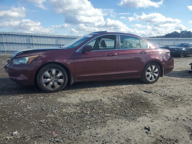 Global Auto Auctions: 2010 HONDA ACCORD EXL