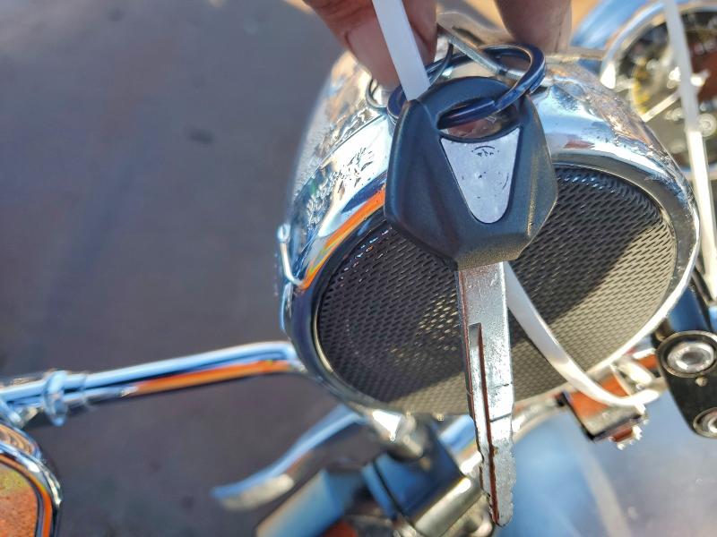 2019 YAMAHA XV250 #3302013057