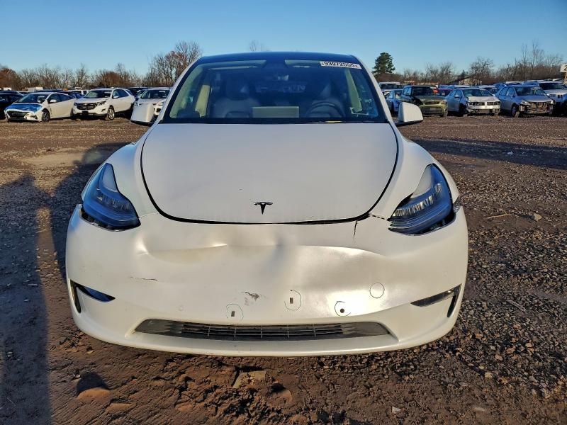 2022 TESLA MODEL Y #3302793906