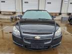 Lot #3303806429 2008 CHEVROLET MALIBU 2LT