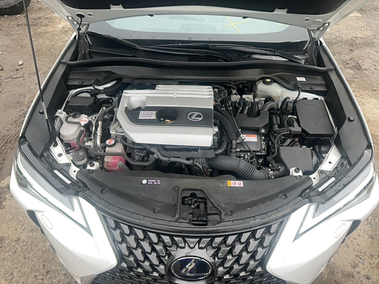 LEXUS UX 250H