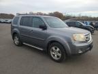 Lot #3305300354 2009 HONDA PILOT EXL