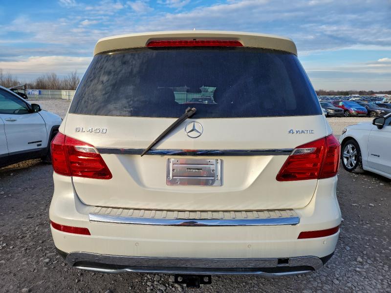 2013 MERCEDES-BENZ GL 450 4MA #3298000042