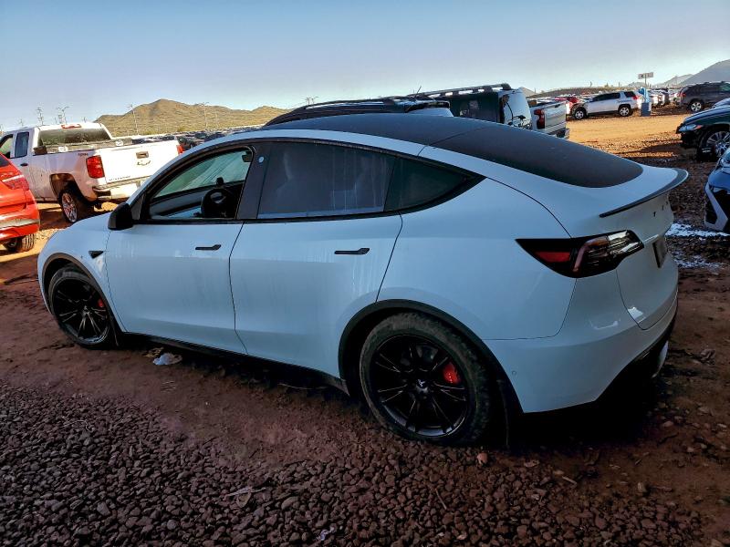 2021 TESLA MODEL Y #3301716445