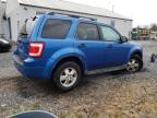 Lot #3296283427 2011 FORD ESCAPE XLT