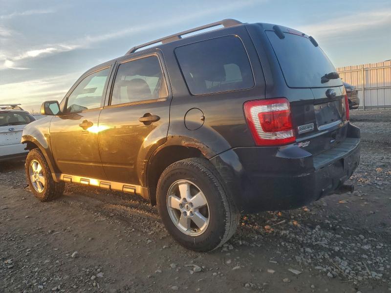 2011 FORD ESCAPE XLT #3304619466