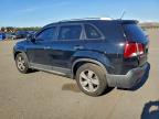 Lot #3308377328 2013 KIA SORENTO EX