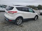 Lot #3296941846 2013 FORD ESCAPE SEL