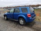 Lot #3296283427 2011 FORD ESCAPE XLT