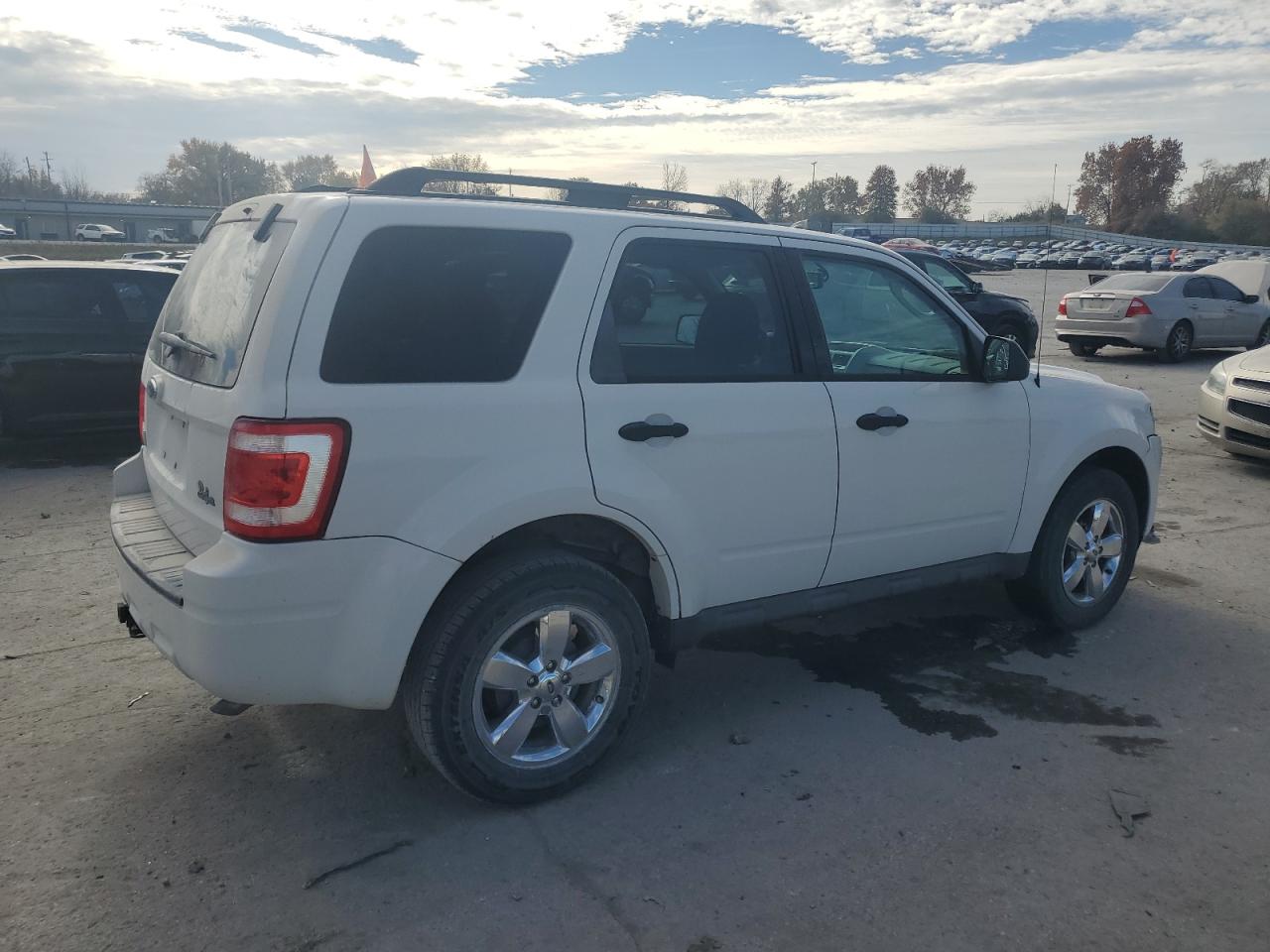 Lot #3298021142 2009 FORD ESCAPE XLT