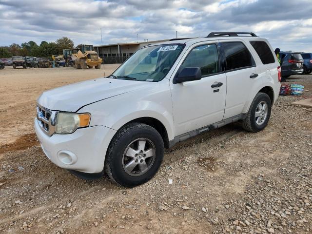 Global Auto Auctions: 2009 FORD ESCAPE XLT