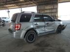 Lot #3305478060 2011 FORD ESCAPE