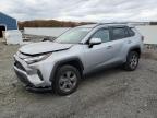 Lot #3294541631 2024 TOYOTA RAV4 XLE
