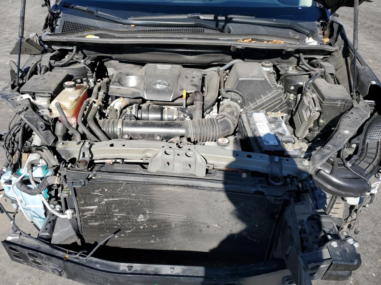 Lot #3285631287 2021 LEXUS NX 300 BAS