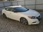 Lot #3311464269 2017 NISSAN MAXIMA 3.5