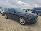 Lot #3296541425 2013 FORD MUSTANG