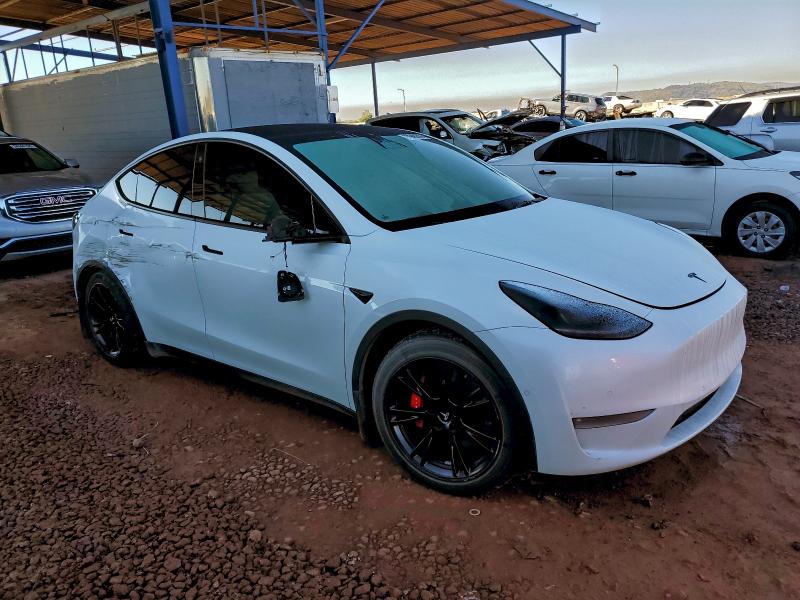 2021 TESLA MODEL Y #3301716445