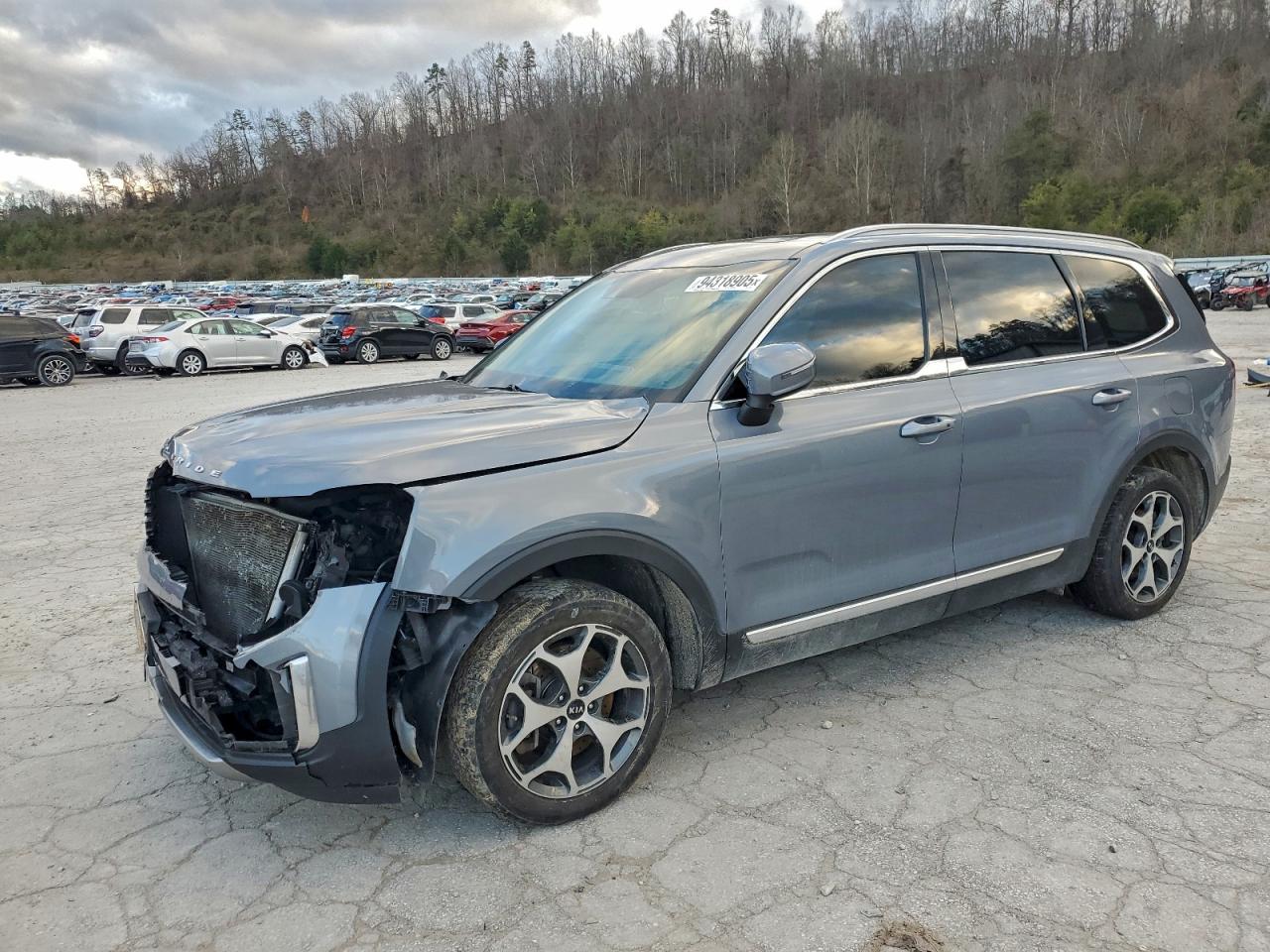 KIA TELLURIDE EX