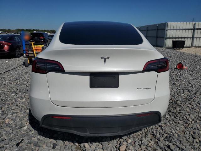 2023 TESLA MODEL Y #3302913055