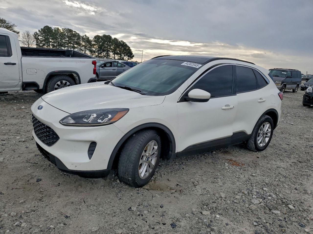 Lot #3309255618 2020 FORD ESCAPE SE