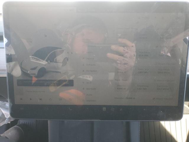 2025 TESLA MODEL Y #3297163492