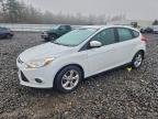 Lot #3305434464 2013 FORD FOCUS SE