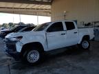 Lot #3303968703 2023 CHEVROLET COLORADO
