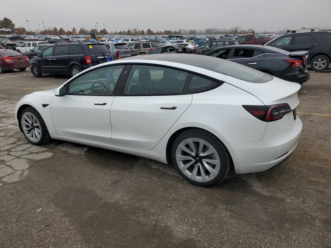 TESLA MODEL 3