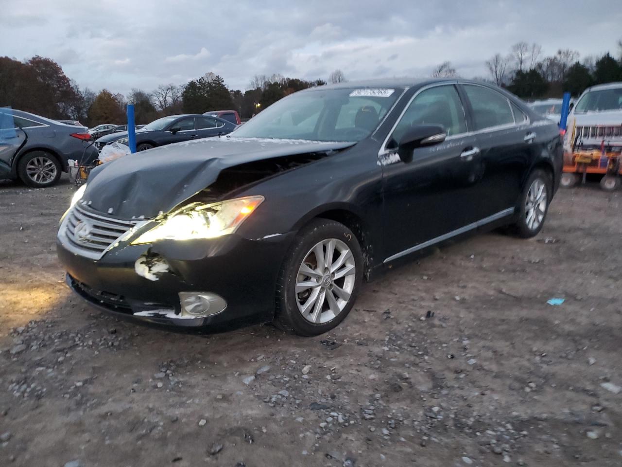 Lot #3308444282 2010 LEXUS ES 350