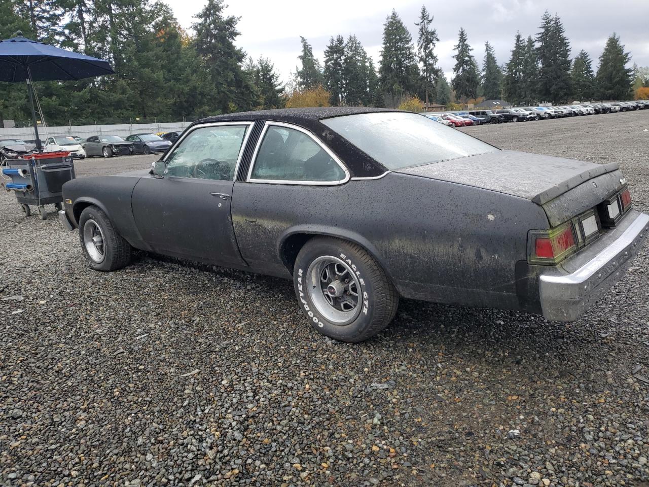 Lot #3282693301 1976 OLDSMOBILE OMEGA