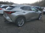 Lot #3302647051 2025 LEXUS NX 350H BA