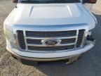 Lot #3294369107 2011 FORD F-150