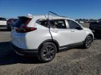 Lot #3304652011 2022 HONDA CR-V EXL