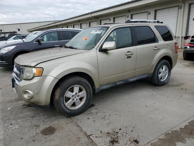 Global Auto Auctions: 2010 FORD ESCAPE LIM