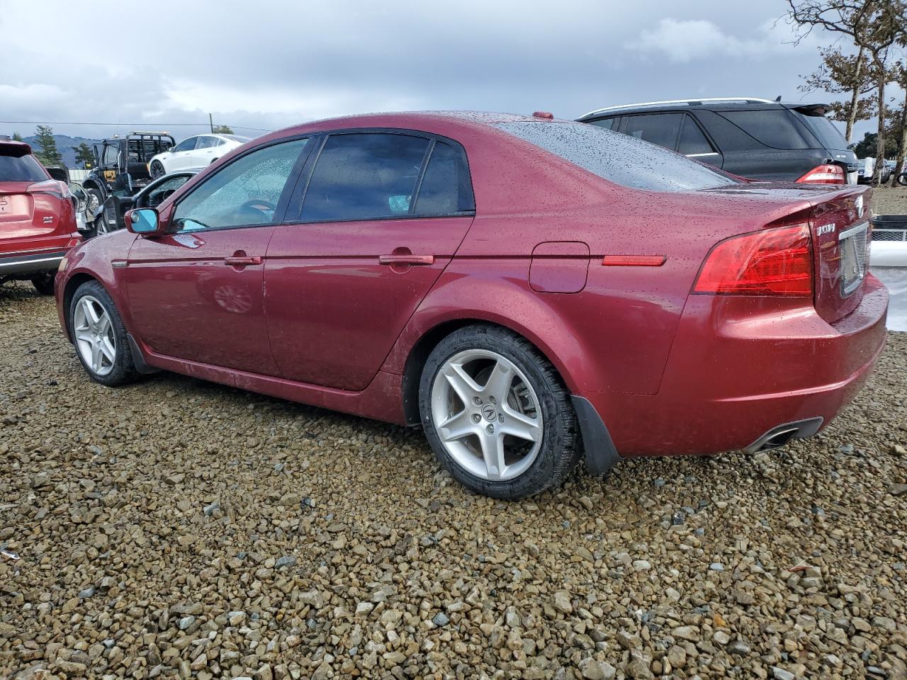 Lot #3309649983 2006 ACURA 3.2TL