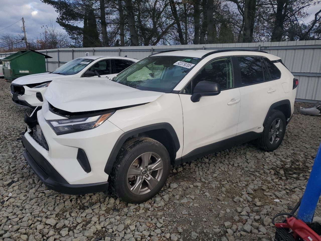 Lot #3309422009 2023 TOYOTA RAV4 LE