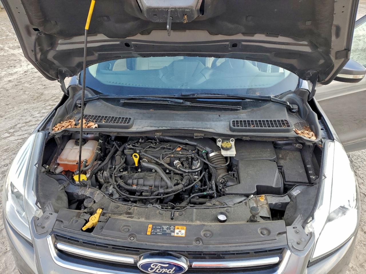 Lot #3316783430 2014 FORD ESCAPE TIT