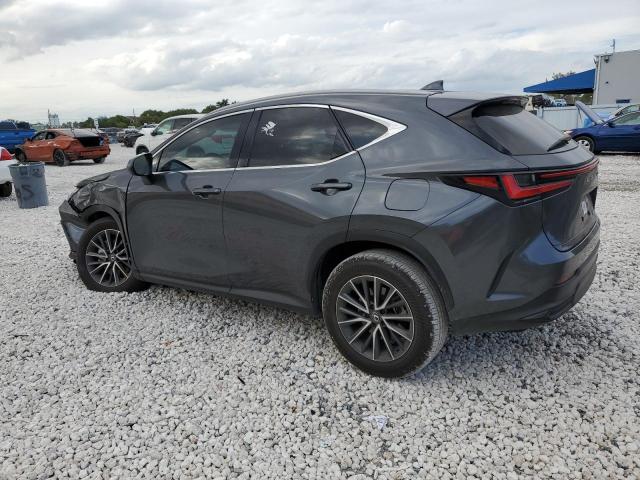 2025 LEXUS NX 250 BAS #3302798942
