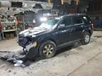 Lot #3309401986 2012 FORD ESCAPE LIM